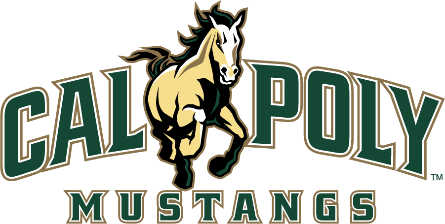 Cal Poly Mustangs 2021-Pres Wordmark Logo iron on transfers for T-shirts